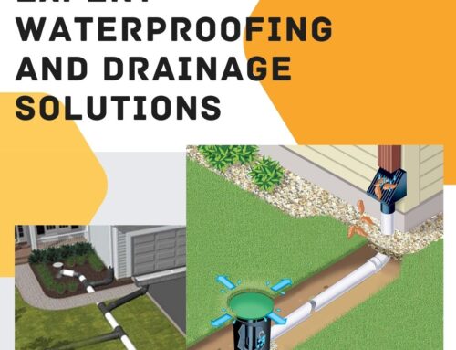 Expert Waterproofing and Drainage Solutions in Seattle, Everett, Bellevue