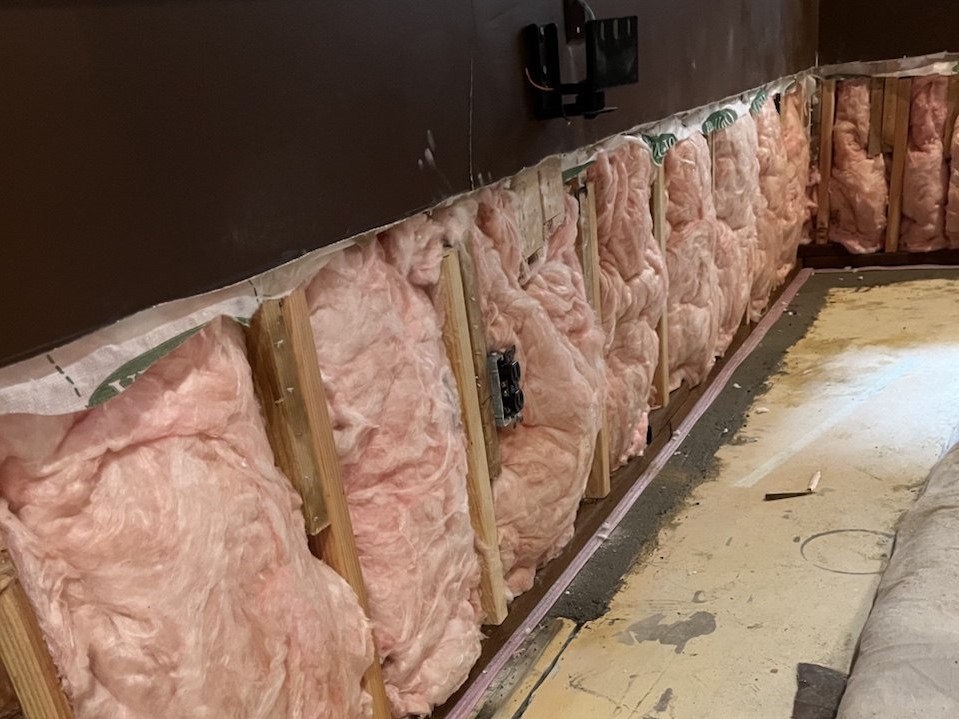 Mold remediation mold remediation services in seattle wa