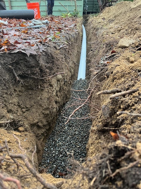 Yard drainage in Everett, WA
